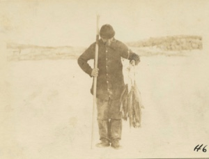 Image of Trout speared in Goding Lake
